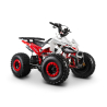 Barton Eagle 125 ATV Quad - 1