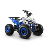 Barton Eagle 125 ATV Quad - 4