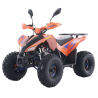 Asix Coyote 125 Quad ATV - 2