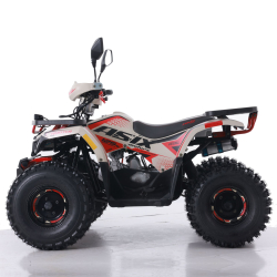 Asix Hunter 125 Quad ATV - 6