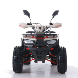 Asix Hunter 125 Quad ATV - 12