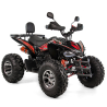XTR Raptor 250 Automat Quad ATV - 2