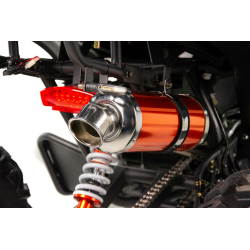 XTR Raptor 250 Automat Quad ATV - 13