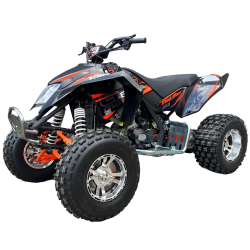 Quad ATV Beretta EGL Mad Max 250