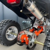 Quad ATV Beretta EGL Mad Max 250