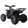 Asix Avatar 250 Quad ATV - 4