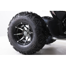 Asix Avatar 250 Quad ATV - 14