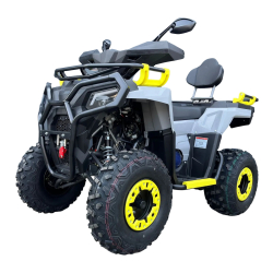Beretta Hammer 200 Mikilon Quad ATV - 2
