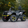 TGB Blade 1000 LTX MAX EPS Limited T3b Quad ATV - 6