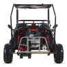 Asix Buggy 125 - 4