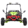 Asix Buggy 125 - 13