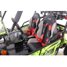 Asix Buggy 125 - 33