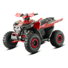 Barton Terrax 125 Quad ATV - 4