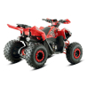 Barton Terrax 125 Quad ATV - 8