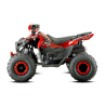 Barton Terrax 125 Quad ATV - 10
