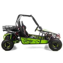Asix Buggy 200 nie quad - 9