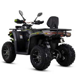 Asix Challenger RR 250 Quad ATV - 13