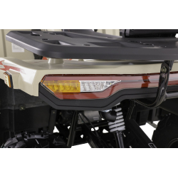 Asix Challenger RR 250 Quad ATV - 19