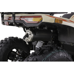 Asix Challenger RR 250 Quad ATV - 22