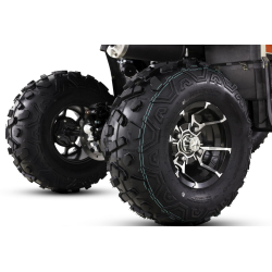 Asix Challenger RR 250 Quad ATV - 23