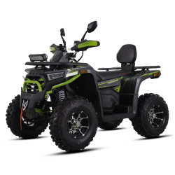 Asix Challenger RR 250 Quad ATV - 11