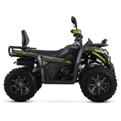 Asix Challenger RR 250 Quad ATV - 16