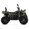 Asix Challenger RR 250 Quad ATV - 16