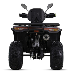 Asix Challenger RR 250 Quad ATV - 14
