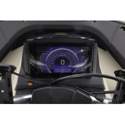 Asix Challenger RR 250 Quad ATV - 31