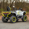 Linhai Landforce 650L Pro EPS, T3b, 4x4 Quad ATV - 7
