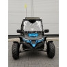 Buggy Z-250