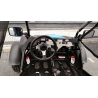 Buggy Z-250