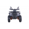 Asix Fourcraft 250 Quad ATV - 8