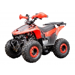 Beretta FX 110 Quad ATV - 2