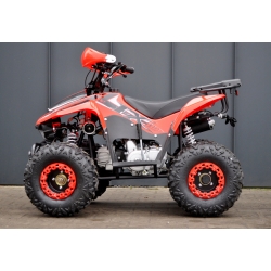 Beretta FX 110 Quad ATV - 3