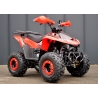 Beretta FX 110 Quad ATV - 6