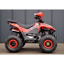 Beretta FX 110 Quad ATV - 7