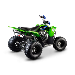Barton Pentora 125 Quad ATV - 4