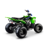 Barton Pentora 125 Quad ATV - 4