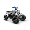 Barton Pentora 125 Quad ATV - 1